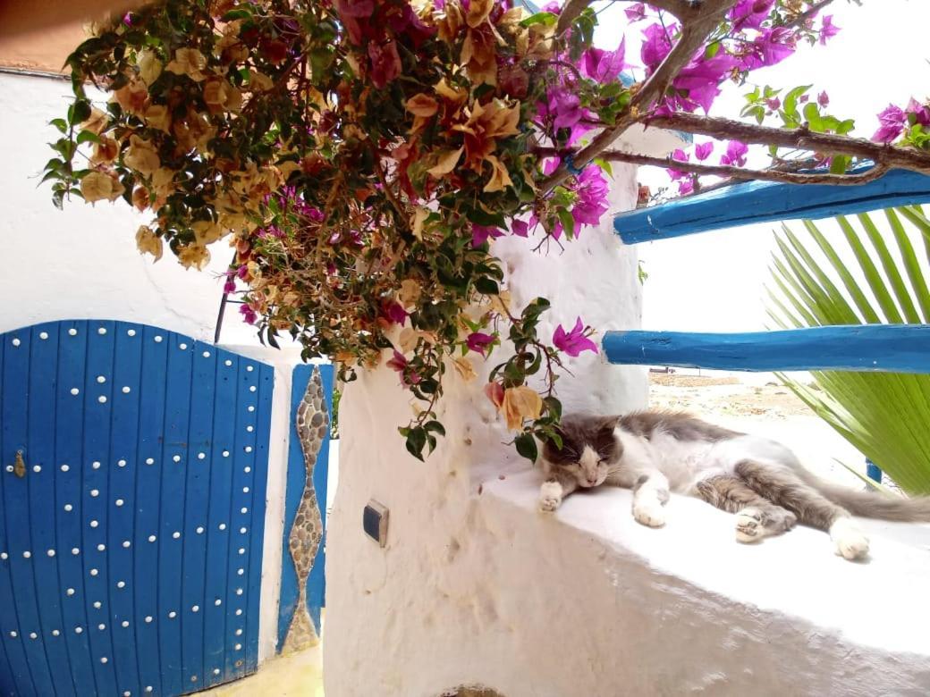 Hotel Dar Boujdaa Sidi Kaouki Exteriér fotografie